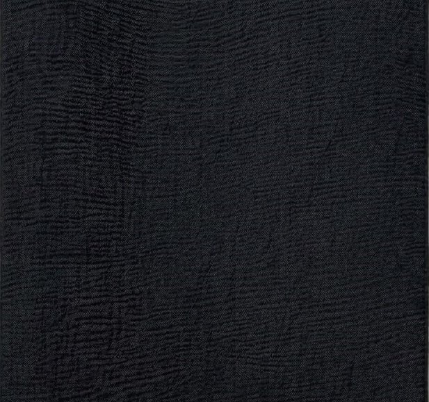 Variation picture for NEGRO